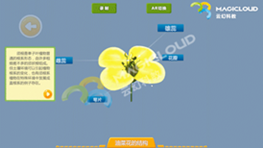 图片15.png